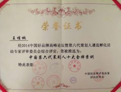 中國(guó)第六代策劃人十大金牌案例